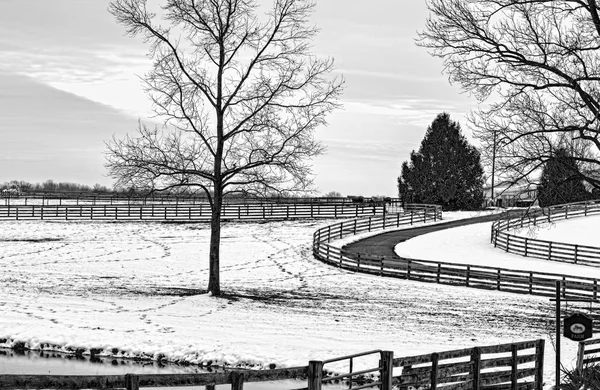 Horse farm in Black and White - Winding Road