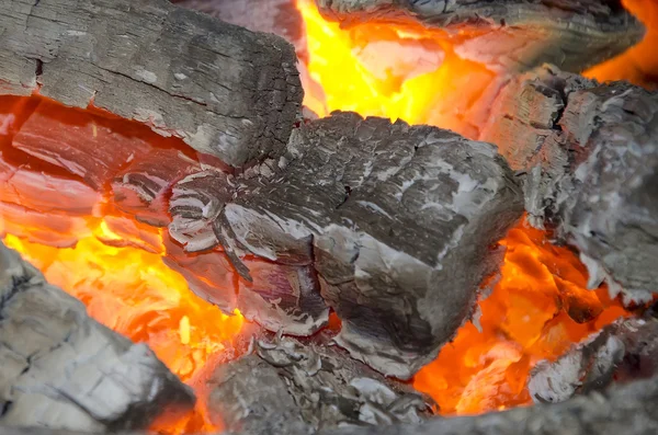 Wood burning in the stove