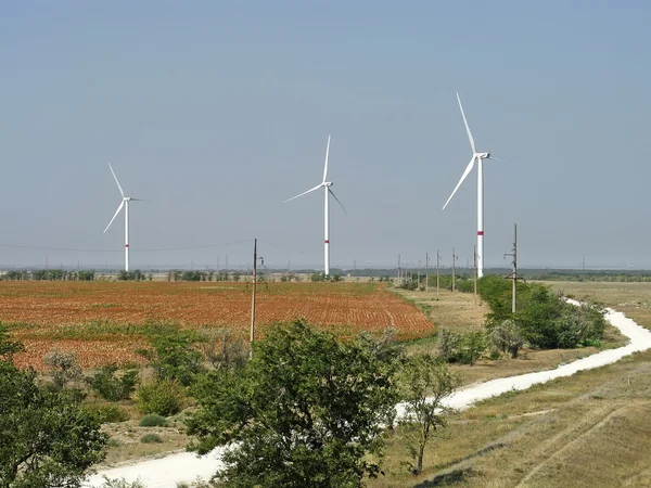 Giant wind stations in Crimea