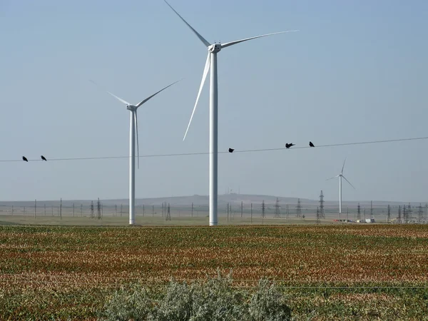 Giant wind stations in Crimea