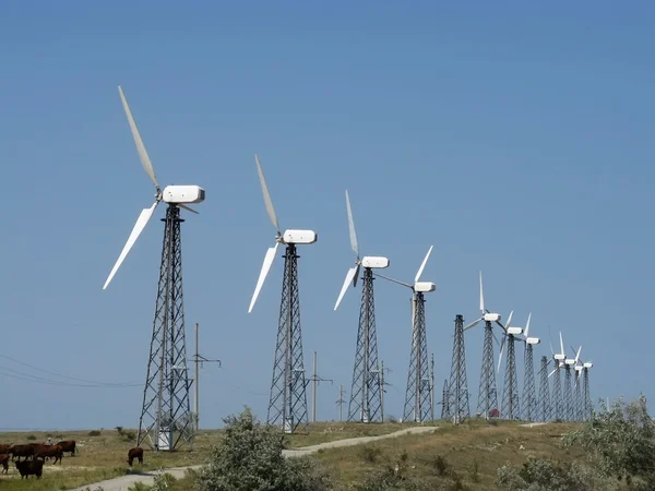 Giant wind stations in Crimea