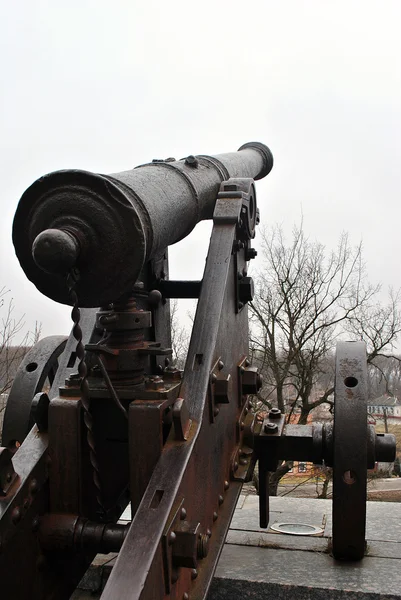 An old gun from behind in Chernihiv