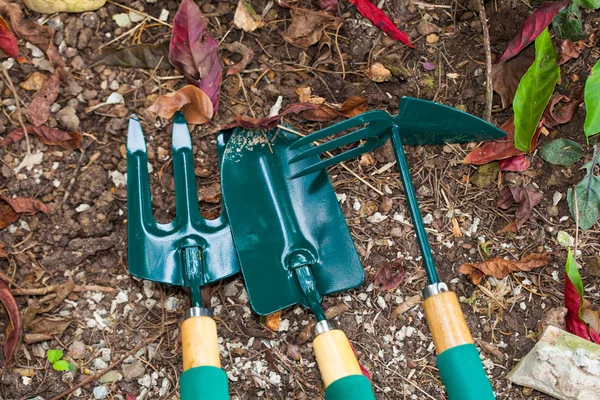 Gardening tools on the ground in backyard