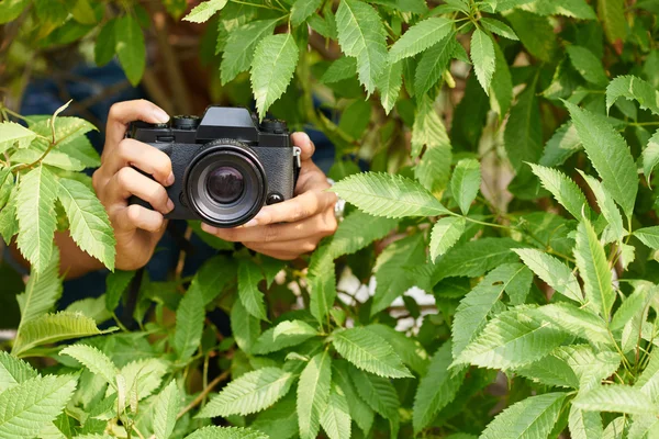 Photographer hiding in bushes