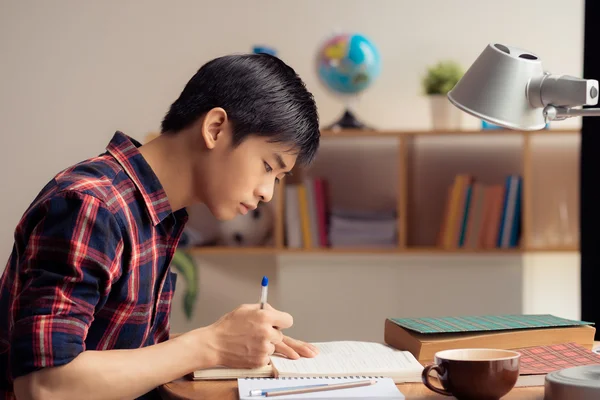 Vietnamese teenager doing homework