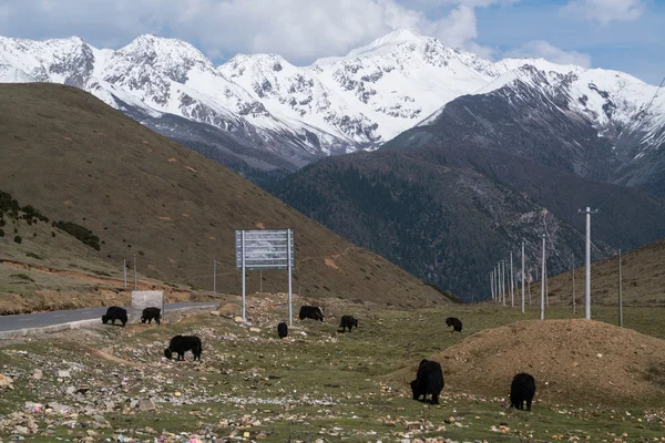 Snow mountain side the road to Jiaju Tibetan village, Danba, Sichuan, China