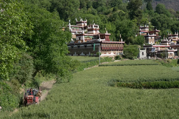 Traditional Tibetan folk residence buildings in a well preserved village, Jiaju Tibetan village, Danba, Sichuan, China