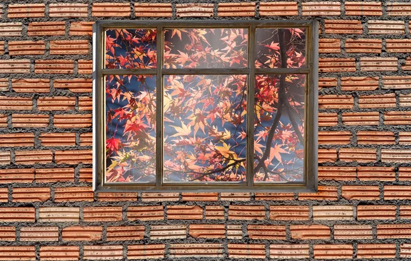 Autumn foliage color outside window with brick wall