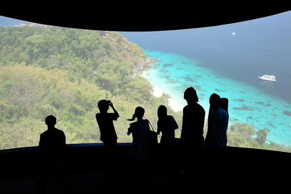 Cinema screen with nature photo and audience.