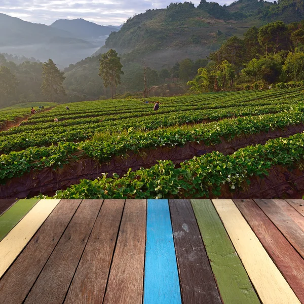 Wood table top on strawberry farm background montage concept