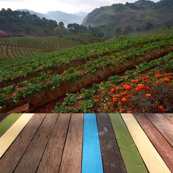 Wood table top on strawberry farm background montage concept