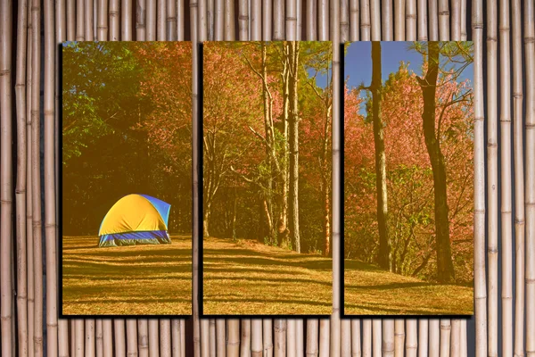 Landscape photo collage frame on bamboo background
