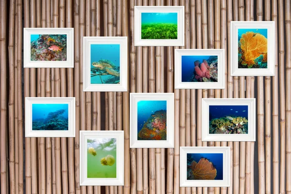 Marine life photo collage frame on bamboo background