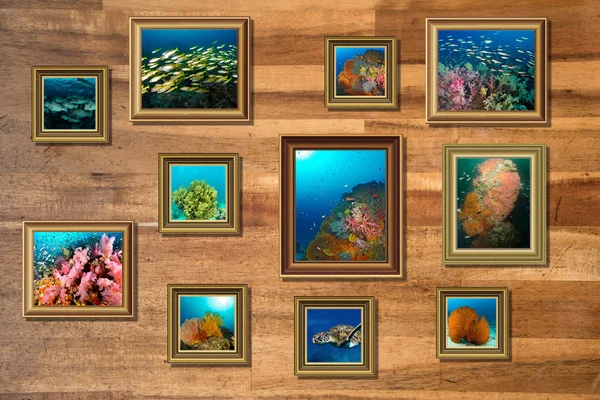 Landscape photo collage frame on wooden background