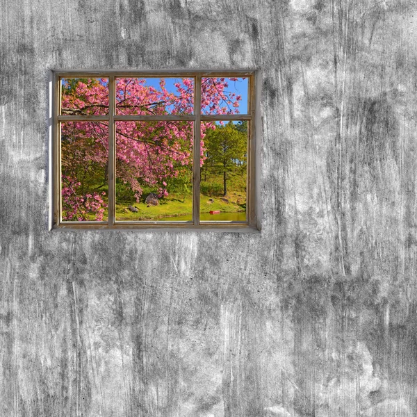 Windows frame on cement wall and view of nature