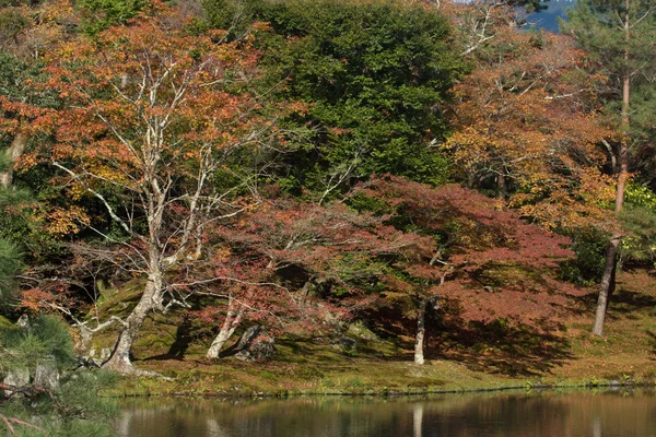 Japan, Kinki Region, Kyoto Prefecture, Kyoto City, Tenryu-ji Tem