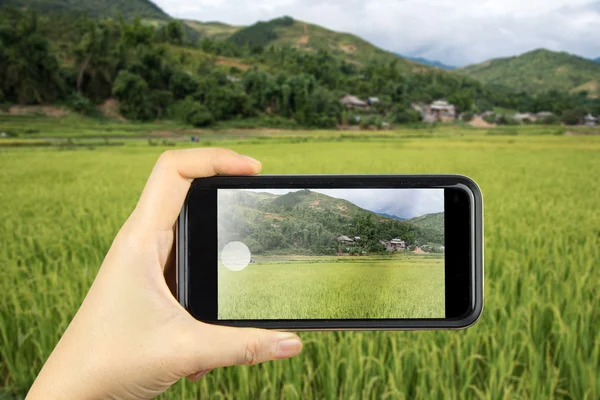Taking photo on smart phone. Most Beautiful Rice Terrace in Tule