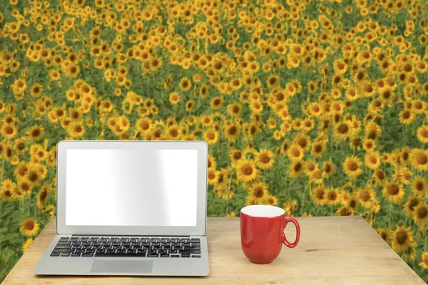Laptop and red mug on wood table with sunflower field