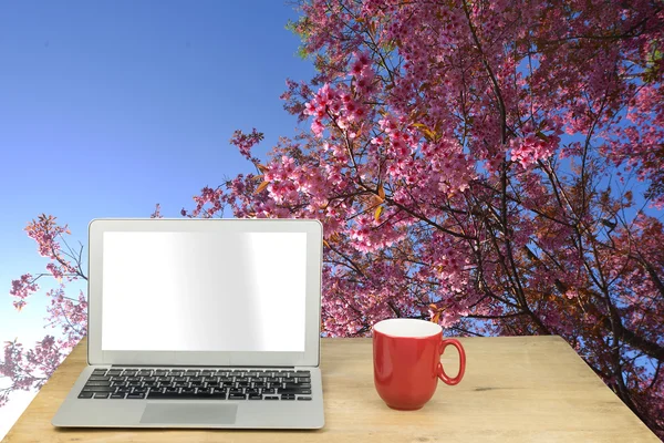 Laptop and red mug on wood table with sakura