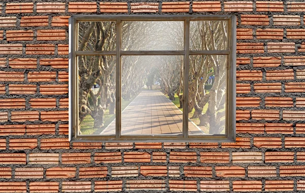 Window on brick wall with tree tunnel