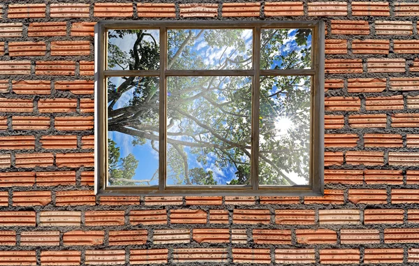 Window on brick wall with tree branch and sunlight