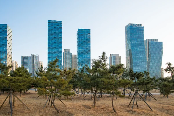 Songdo Central Park is the green space plan,inspired by NYC Central Park. Central Park is a green oasis in the midst of Korea\'s first international city