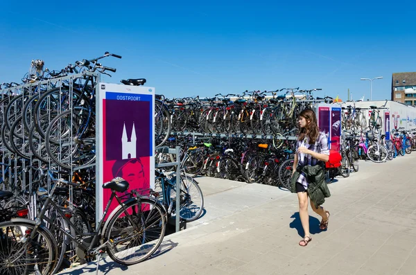 Bicycles parking area near the train station at Delft , the Netherlands