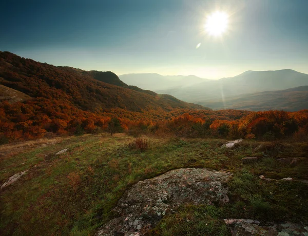 Autumn forest in the mountains under the blue sky
