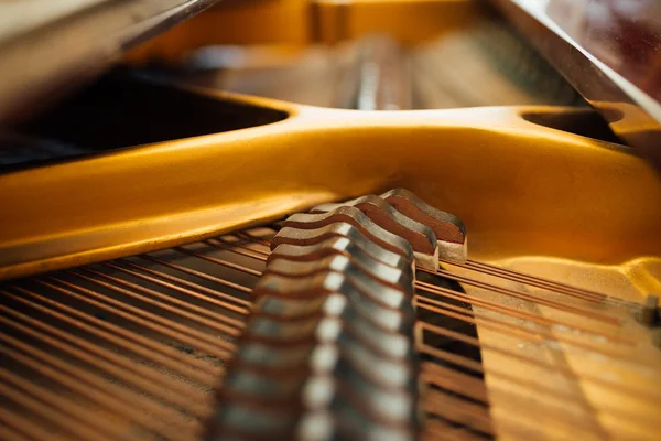 The internal parts of  grand piano strings