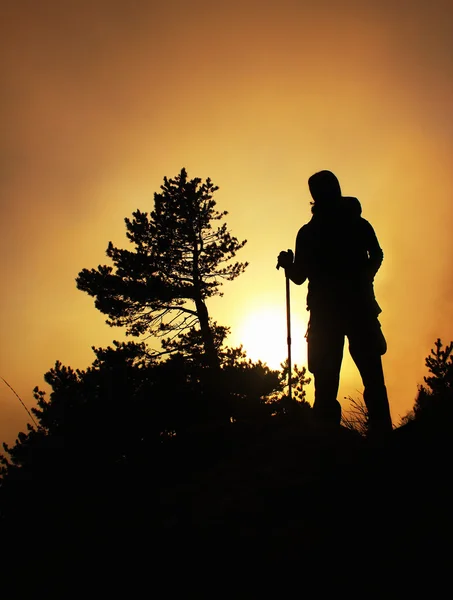 Silhouette of a man standing against the bright yellow sun