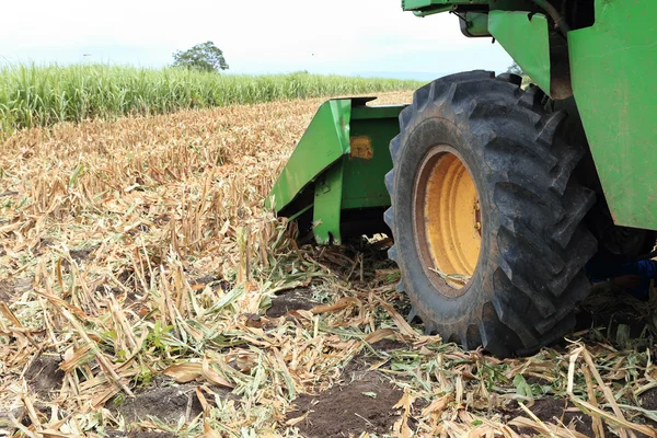 Farmer combines a field of corn