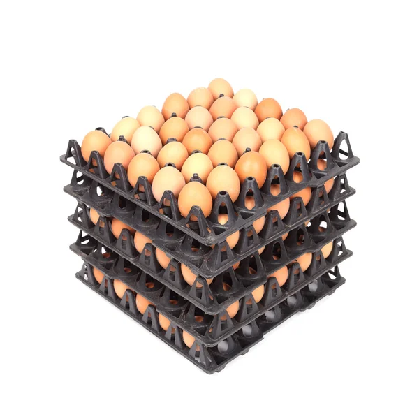 Stack of eggs in tray on white