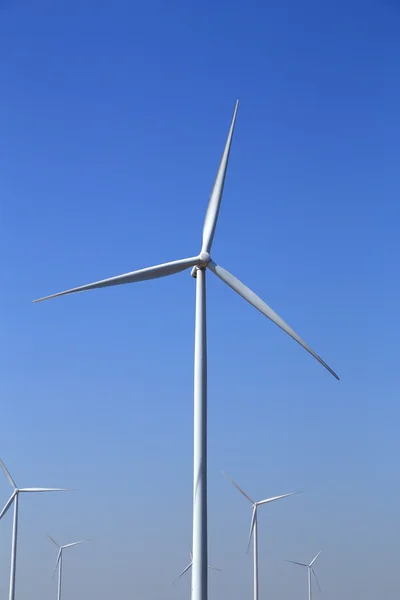 Wind turbine producing alternative energy