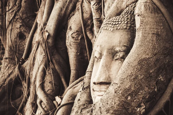 Head of sand Buddha statue in the tree roots at Travel Essentials Wat Mahathat, Ayutthaya, Thailand