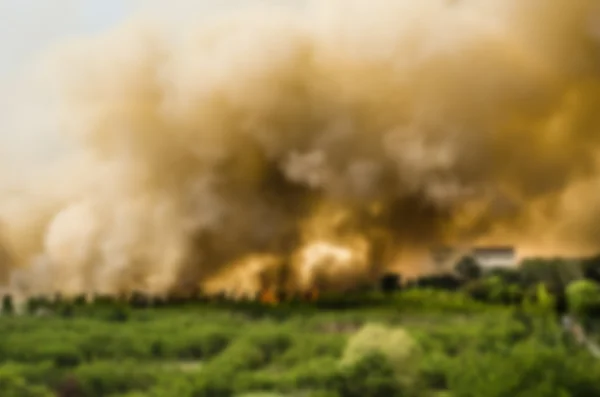 Blur effect of Forest fires in the city, causing a large flame and smoke in the air is very hot days. Firemen rush to help prevent the spread of fire to the village
