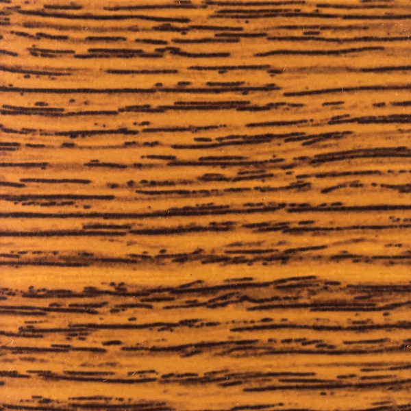 Abstract wood texture with focus on the wood\'s grain. Mahogany wood