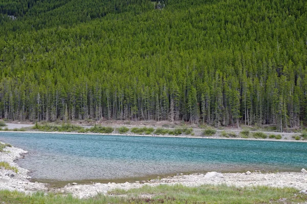 A lake on the Smith Dorrien Spray Trail in Kananaskis, Western Alberta Canada