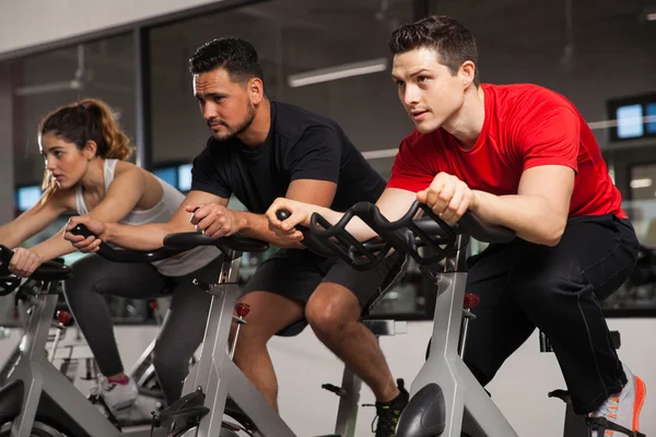 Friends doing some cardio on a bicycles