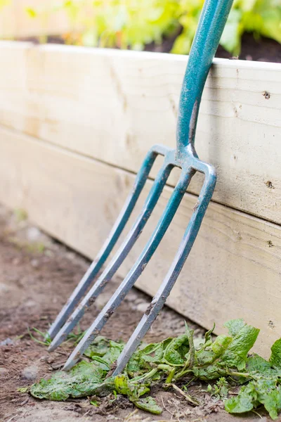 Gardening fork against raised bed