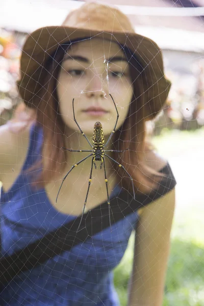 Spider and a girl's face