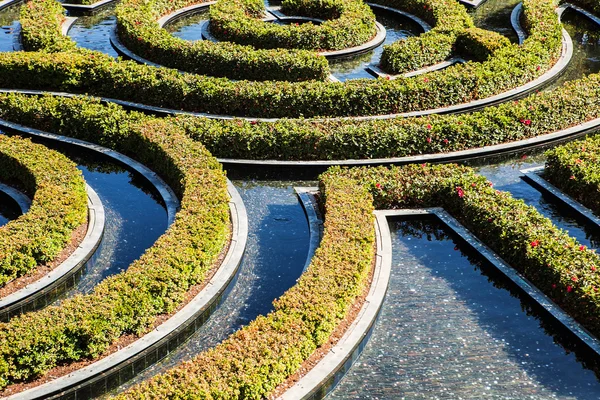 Fragment of wonderful garden maze during a sunny day