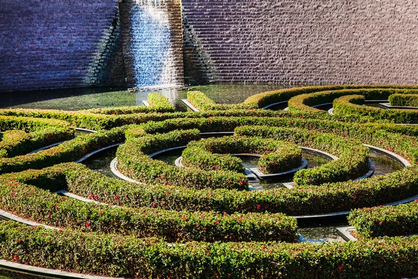 Wonderful garden maze during a sunny day. landscape design park