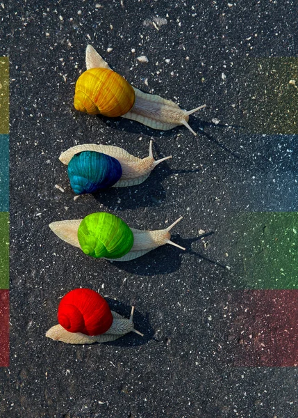 Colorful Snails run on road