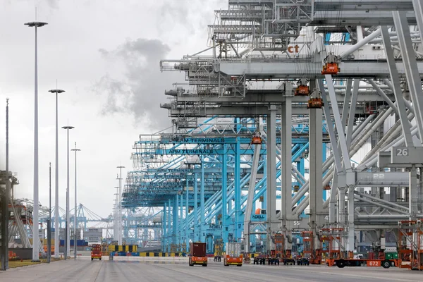 Container terminal Rotterdam Port