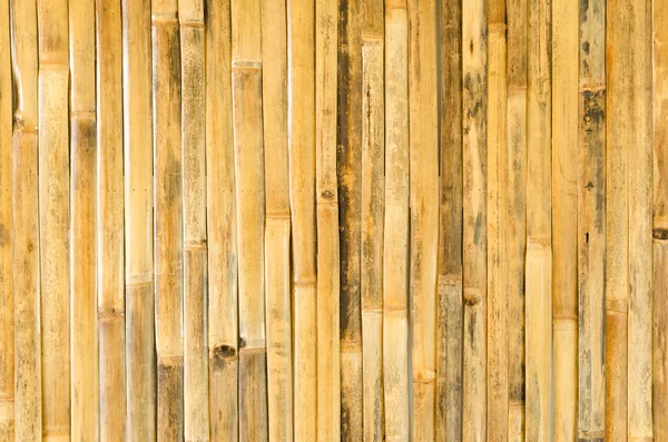 Bamboo fence background