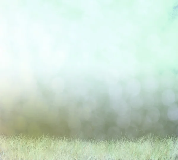 Abstract bokeh background, fog on field