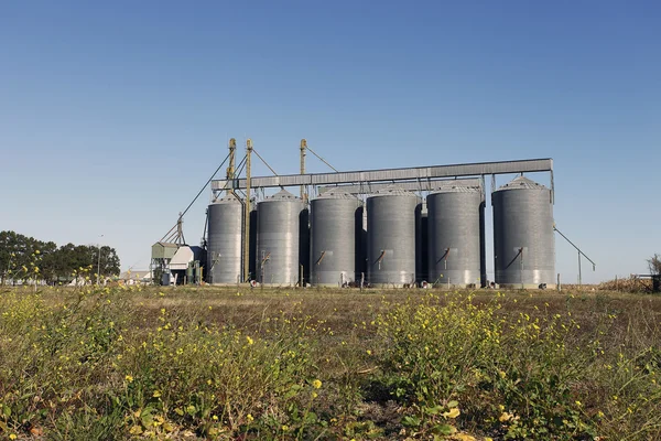 Silo grains on a farm