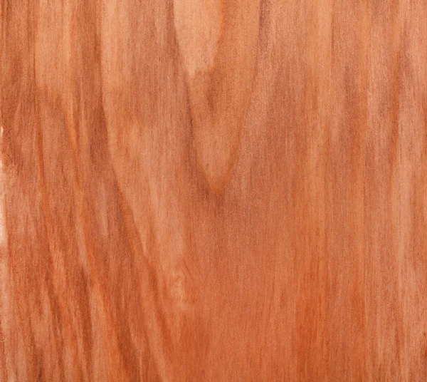 Brown wood texture - spruce