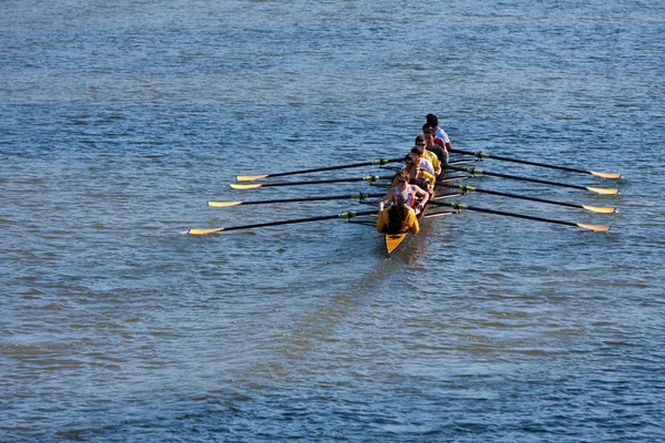 Men's College Crew Team Rows Down Atlanta River