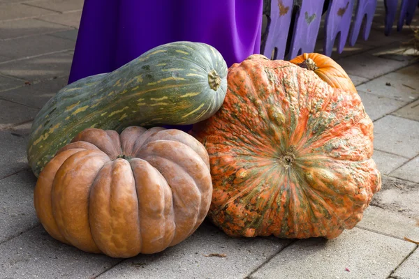 Orange pumpkins for Halloween Party